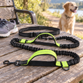 Hands-Free Bungee Dog Leash - Running & Walking